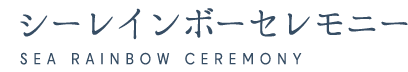 東京湾で海洋散骨を依頼するなら｜安心料金の「シーレインボーセレモニー」